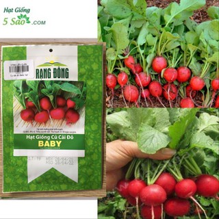 Hạt Giống Củ Cải Đỏ Baby( Rạng Đông )