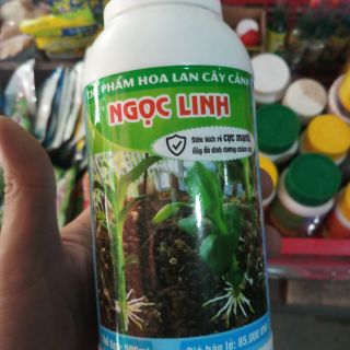 Chế phẩm siêu ra rễ cho hoa lan ngọc linh siêu tốt đối với thân lù không ra rễ