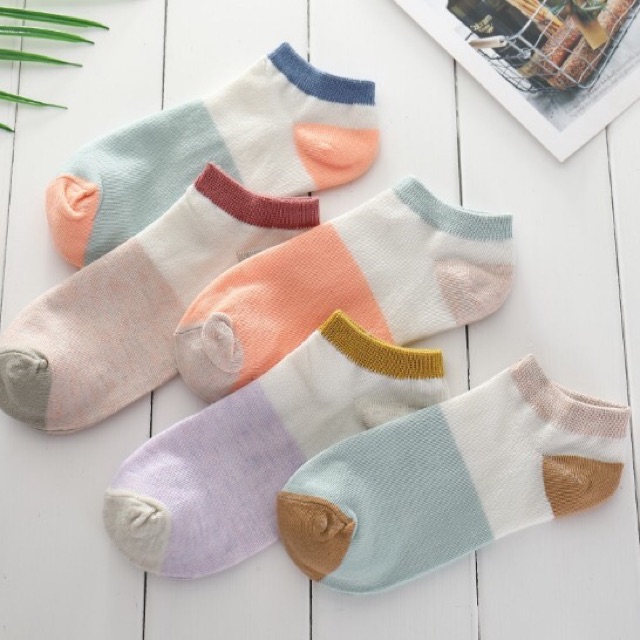 Tất nữ cổ cao, vớ cổ ngắn nữ 5 đôi đủ màu vải cotton co giãn họa tiết dễ thương TC22 - VHT SHOP