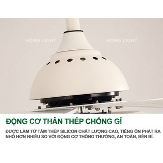 Quạt trần trang trí HomeFan HL-FAN089