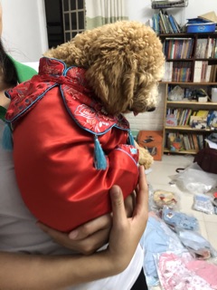VÁY TẾT THÊU CHO BÉ THÚ CƯNG