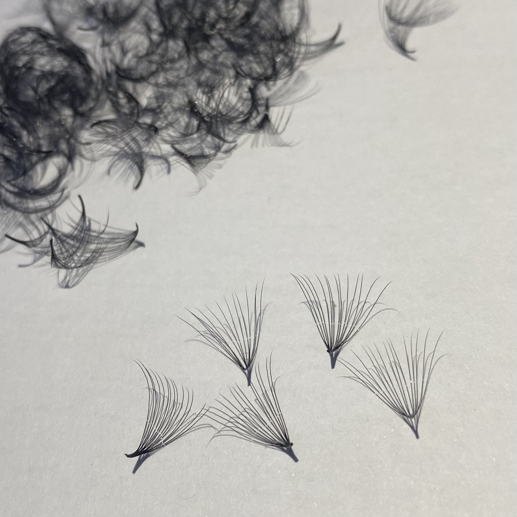 Mi FAN 12D MIX SIZE (9-15) mm CONG C -CC- D 005 HỘP (1000fan)_dụng cụ nối mi_THÚY HÀ