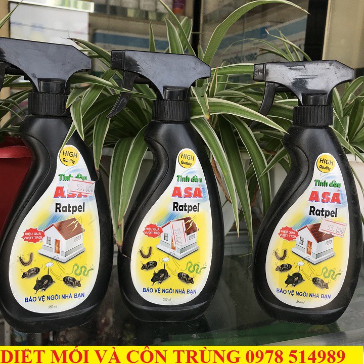 Asa - Xua đuổi chuột