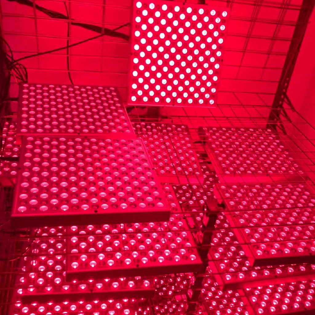 Liệu pháp ánh sáng led đỏ chống lão hóa deep red 660nm và đèn led 850nm hồng ngoại gần cho da toàn thân & giảm đau 45w