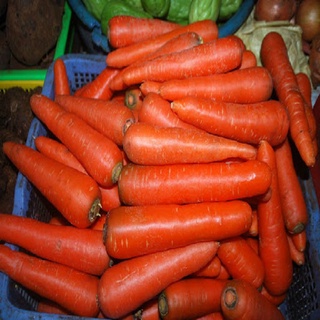 CÀ PHÁO - CÀ CHUA - CÀ TÍM - CÀ RỐT