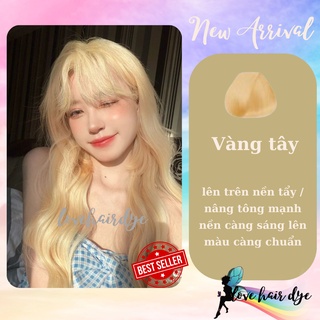 Thuốc Nhuộm Tóc Màu Vàng Tây - Vàng Chanh - Vàng Pastel Chuẩn salon cần Tẩy Nâng tông Lovehairdye