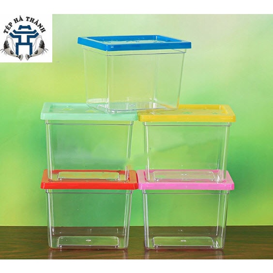 Hộp Nhựa, Hũ Đựng Cá Betta - Cốc Nuôi Cá Mini Trang Trí