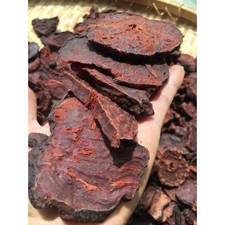 Hà thủ ô đỏ dưỡng tóc viên vừng 100g