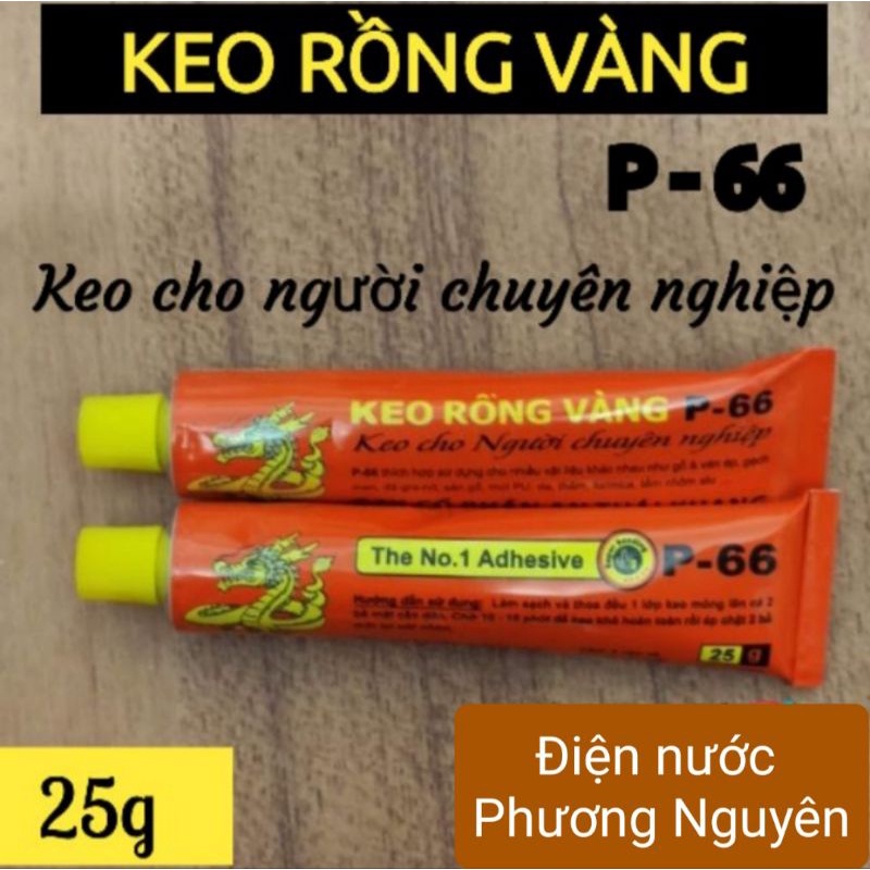 Keo dán đa năng Rồng Vàng P-66 tuýp 25g dùng dán giày dép, gỗ, nhựa, xốp, cao su,..