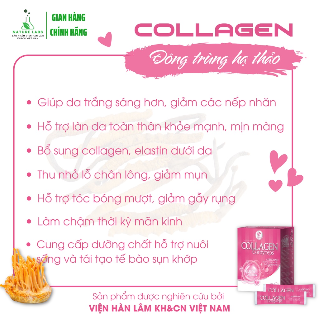 Nước uống Collagen Đông trùng hạ thảo trắng đẹp da se lỗ chân lông chống lão hoá mờ nám tăng cường sức khoẻ Nature Labs