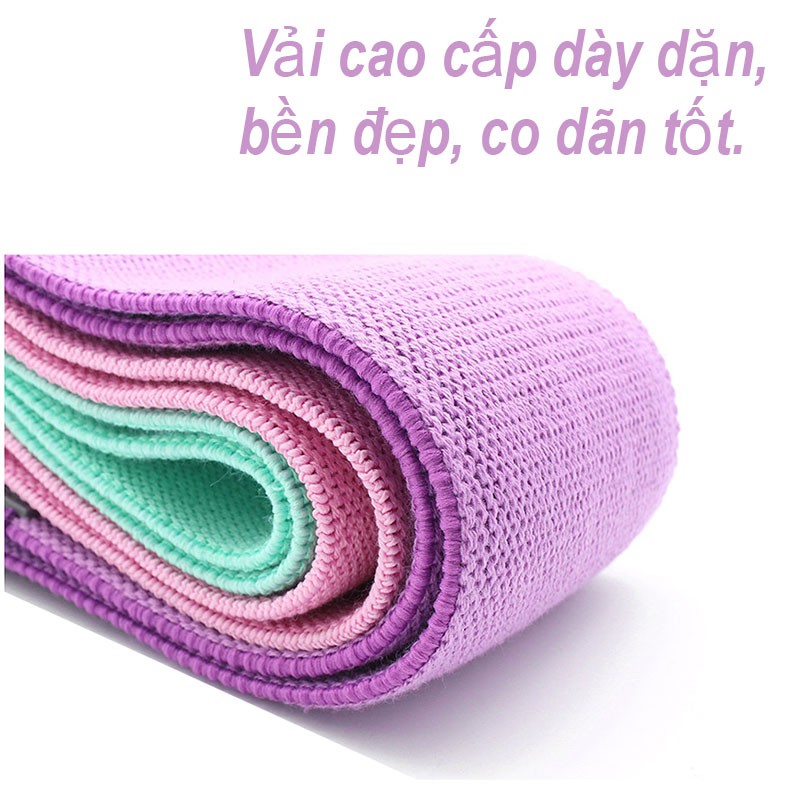 Dây Kháng Lực Đàn Hồi Tập Mông Miniband Aolikes Cao Cấp, Dây Đàn Hồi Tập Yoga Gym Sợi Vải Mềm Siêu Bền Chống Tuột BO24