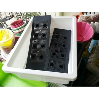 - Khay trồng rau thông minh (chậu trồng rau sạch thông minh) dài 48cm cty chính hãng.
