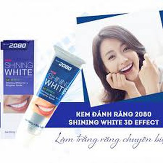 KEM ĐÁNH RĂNG 2080 3D ( KEM LÀM TRẮNG RĂNG CAO CẤP) 100g