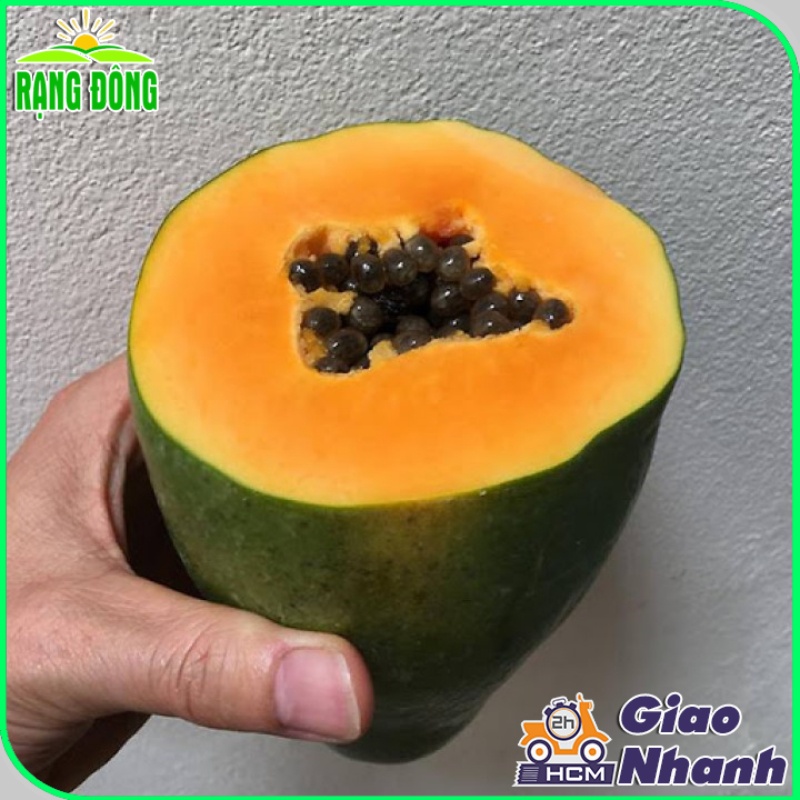 Hạt giống Đu Đủ Ruột Vàng Vĩnh Tường trái to, siêu trái, trồng quanh năm  - Hạt giống Rạng Đông