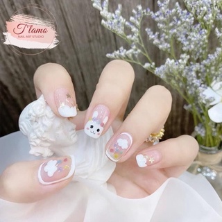 Nailbox thiết kế