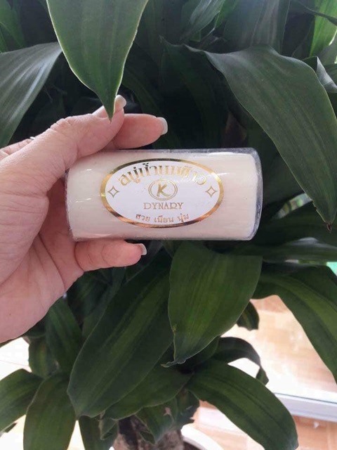 Xà phòng sữa gạo Dynary - Thái Lan | BigBuy360 - bigbuy360.vn