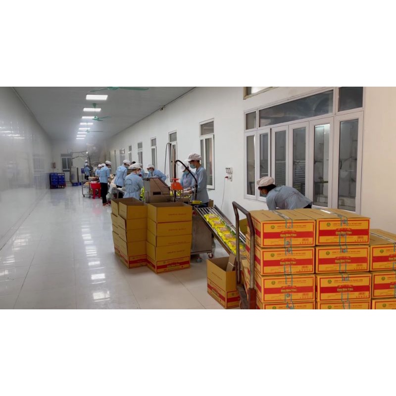 (BÁN SỈ) Cơm cháy Ninh Bình Vàng 220g- Đặc sản Ninh Bình(Giòn tan, đậm đà) | BigBuy360 - bigbuy360.vn