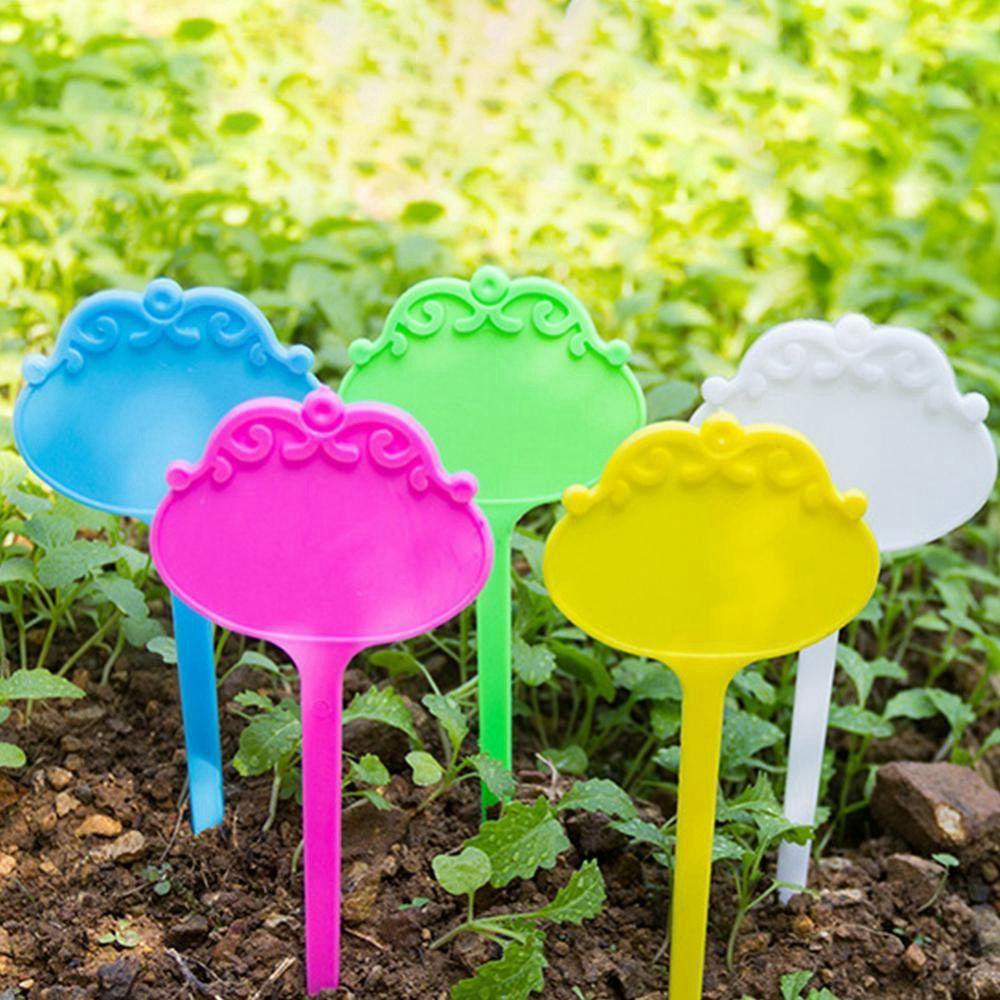 Set 20 Thẻ Phân Loại Cây Trồng DIY Tiện Dụng