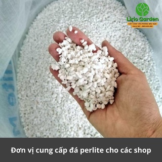 đá perlite trân châu