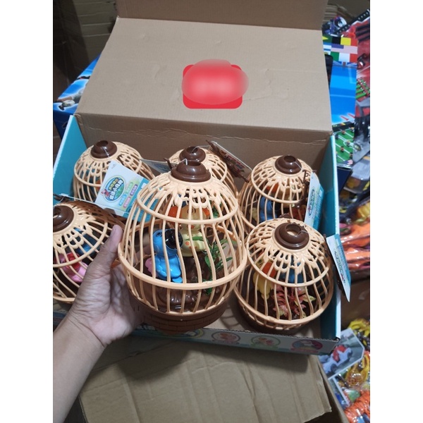 lồng chim cảm ứng