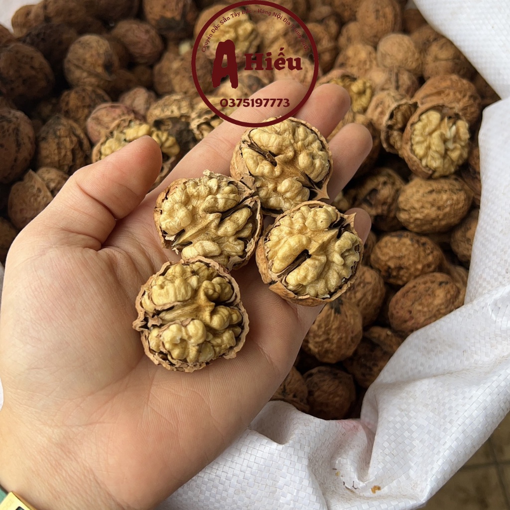 [1kg ]Quả Óc Chó Rừng tây bắc