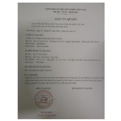 Tai nghe airpods 2 Bluetooth Bản Hổ Vằn Cao Cấp, Chip Louda 1562M Đôi Tên Định Vi Phiên Bản Dùng Cả IOS & Android | BigBuy360 - bigbuy360.vn