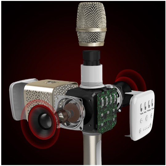 Micro karaoke kèm loa Bluetooth Tosing V2 - Chính hãng BH 1 năm
