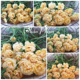 Hoa 10h , mix màu lộn xộn 15 màu