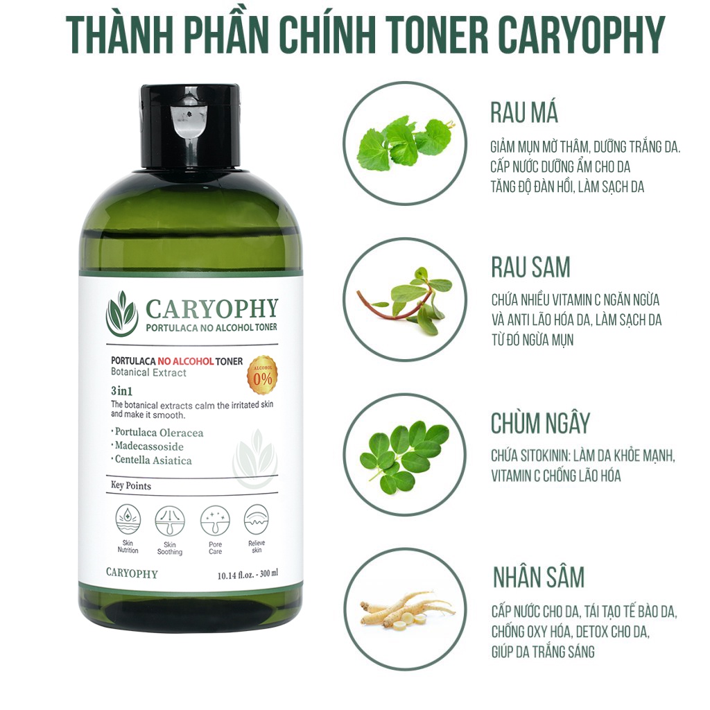 Toner không cồn Caryophy Portulaca ngừa mụn kiềm dầu giảm thâm Hàn Quốc 300ml