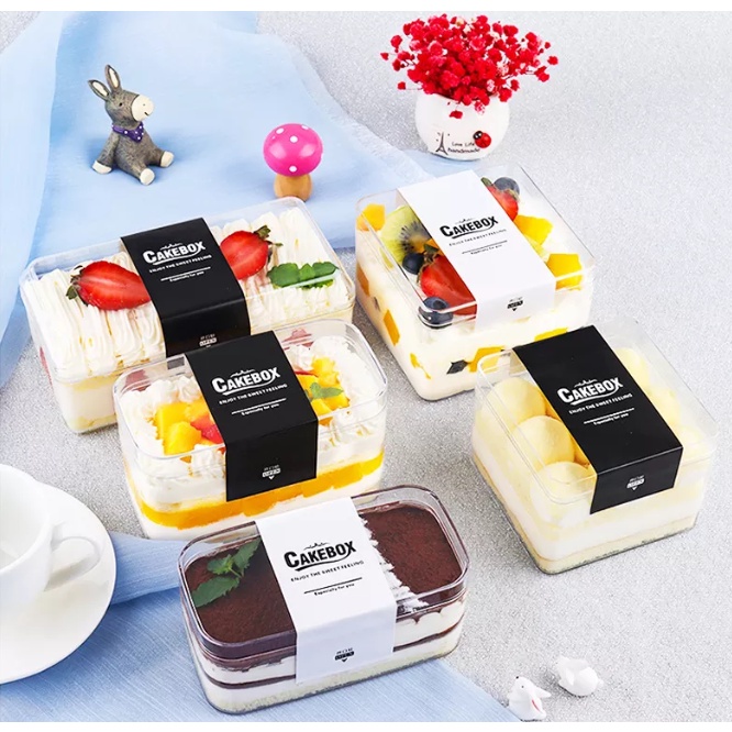 set 10 hộp nhựa pet vuông CH8560 và CH9560