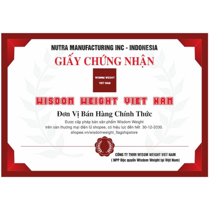 Tăng Cân Wisdom Weight Chính Hãng
