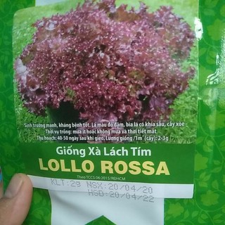 Giống xà lách tím gói 2g