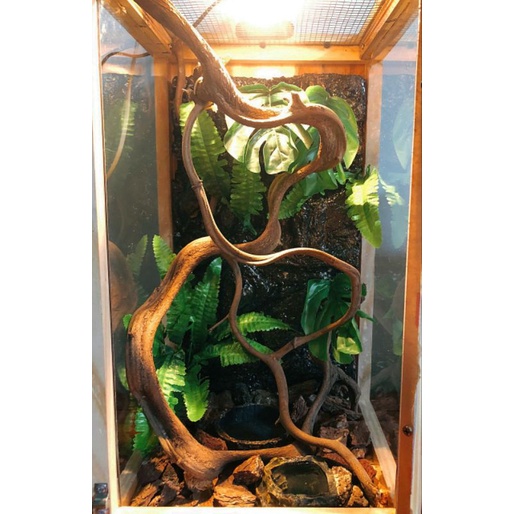 Chuồng nuôi bò sát gỗ ghép và mica KB9 D35 R25 C50cm