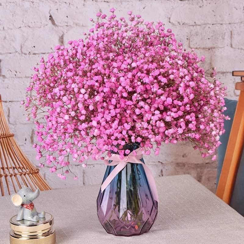 Bình thủy tinh đựng hoa trang trí nhà