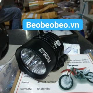 Đèn trợ sáng l4x gold