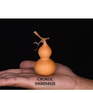Bầu hồ lô mini tặng kèm dây chỉ đỏ