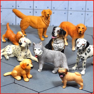 Mô Hình Các Giống Chó Thuần Size Nhỏ - 7664