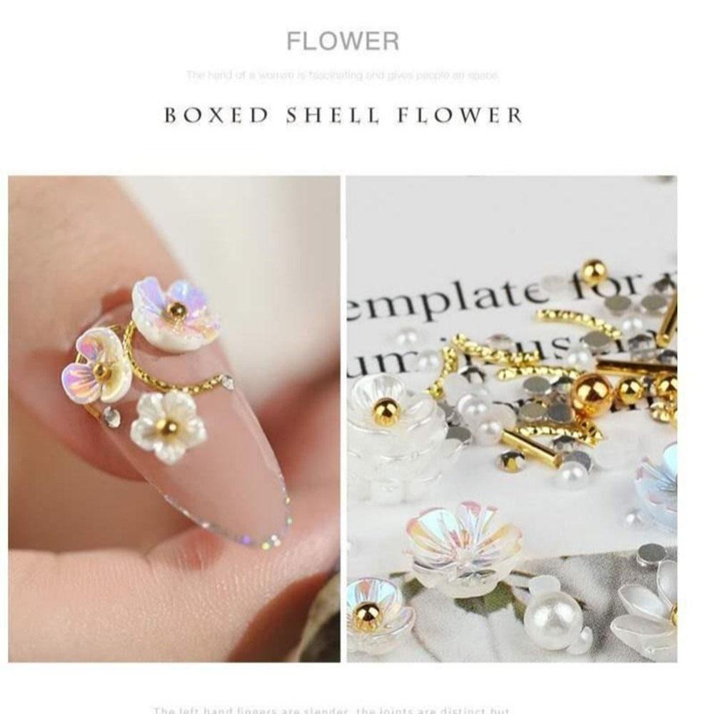 1 Hộp Hạt Vỏ Sò Trang Trí Móng Tay Nghệ Thuật DIY Thời Trang