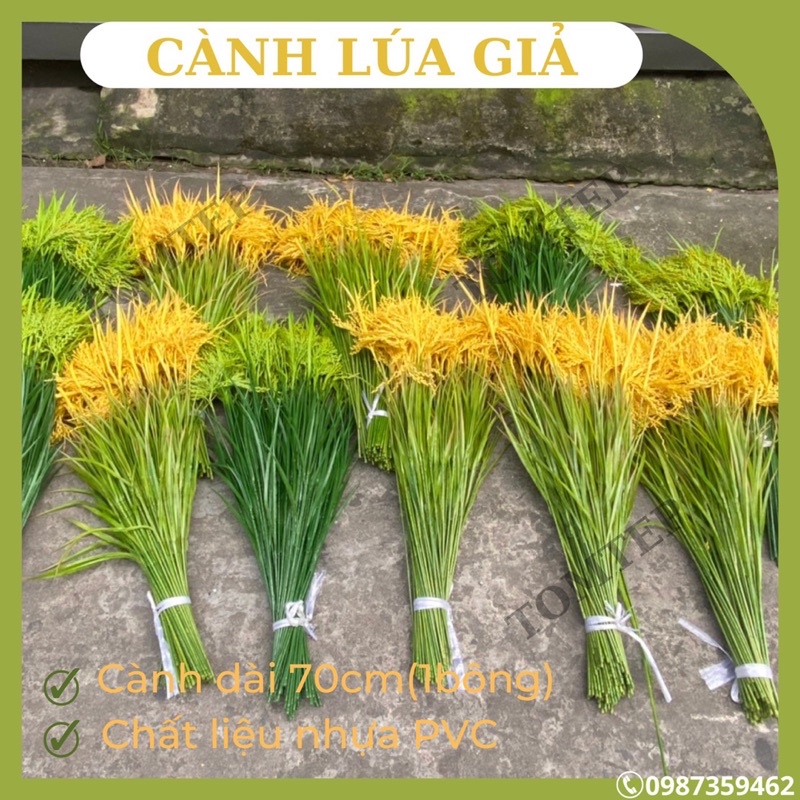 Combo 10 bông lúa nhựa màu vàng, lúa màu xanh 70cm hàng sẵn ship hỏa tốc