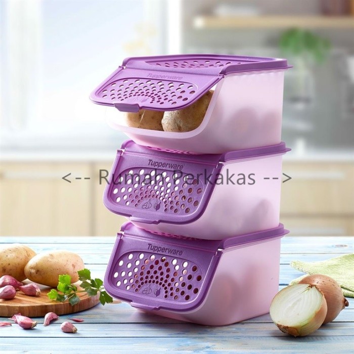 TUPPERWARE Set 2 Hộp Đựng Khoai Tây Màu Tím 2.3l Giá Đỡ