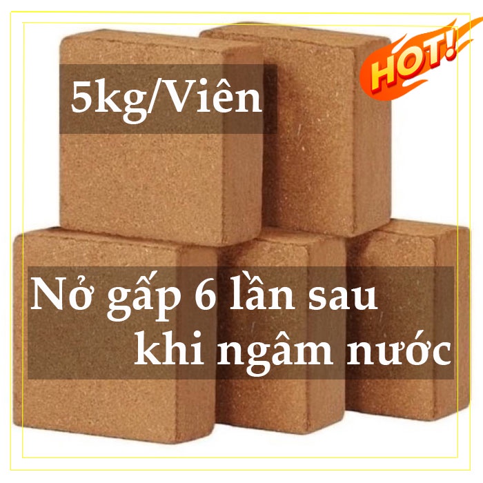 Xơ dừa nén viên lớn 5kg/1 Viên, Ngâm nước nở ra gấp 6 lần, Trồng cây & Trồng rau mầm