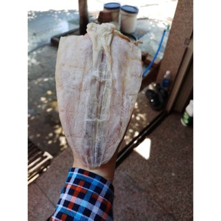 Combo 2 con mực khô size lớn bằng bàn tay đặc sản bình định