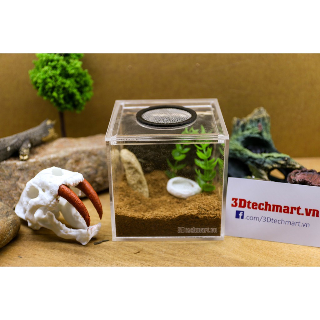 Hộp Nuôi Nhện Cao Cấp 10-10-10 Dán (tank tarantula)
