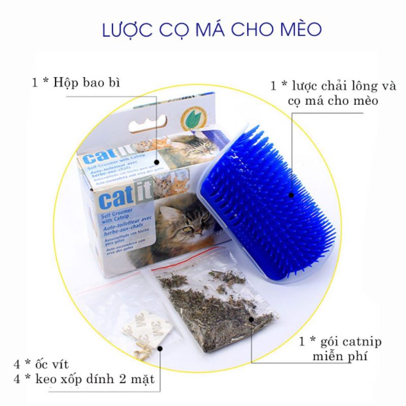 Lược chải lông gải ngứa, tự massage, cọ má cho mèo tặng kèm gói catnip, lược gắn tường mát xa cho mèo