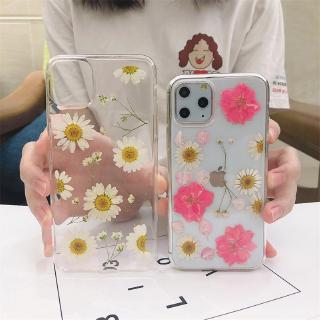 Ốp điện thoại hình hoa cúc bất tử cho iphone11 xs max xr i8 i7 i6 i6s plus