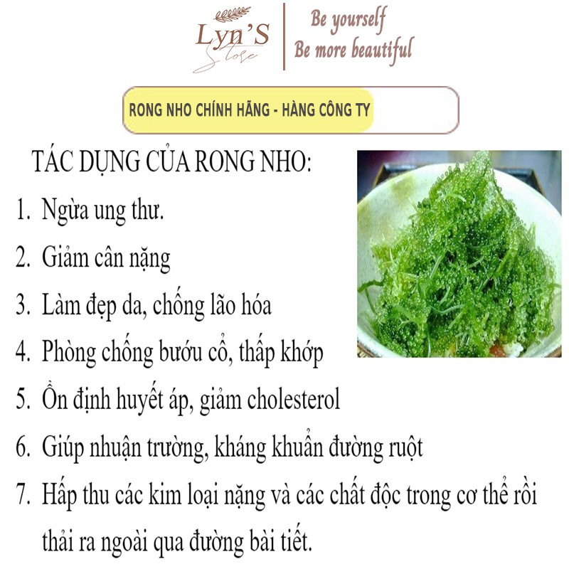 [Mã 267FMCGSALE giảm 8% đơn 500K] Rong nho khô  𝑭𝑹𝑬𝑬𝑺𝑯𝑰𝑷  nho biển, rong nho green food - Túi Zipper 100g