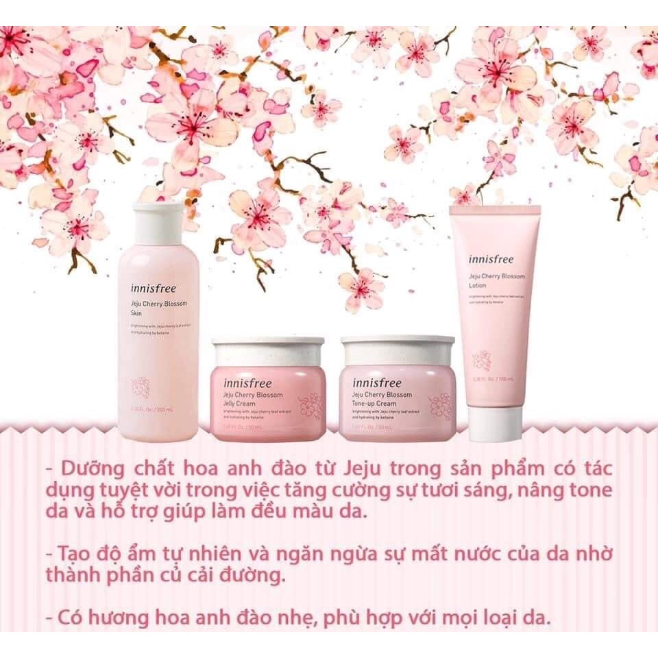 BỘ DƯỠNG ẨM DƯỠNG TRẮNG NÂNG TONE CHIẾT XUẤT HOA ANH ĐÀO INNISFREE JEJU CHERRY BLOSSOM CREAM DUO SET