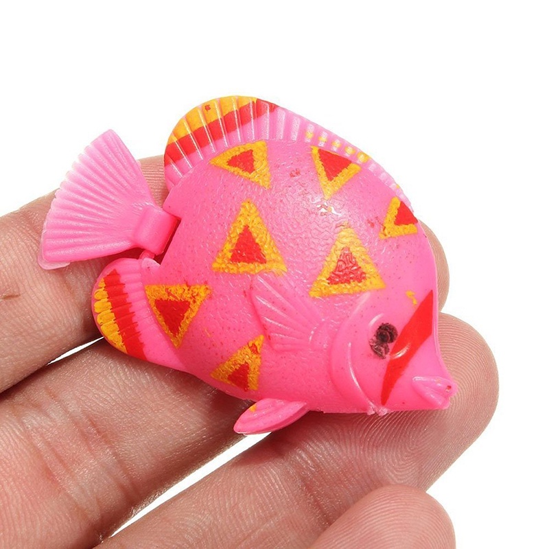 Cá giả trang trí bể cá nhiều màu sắc