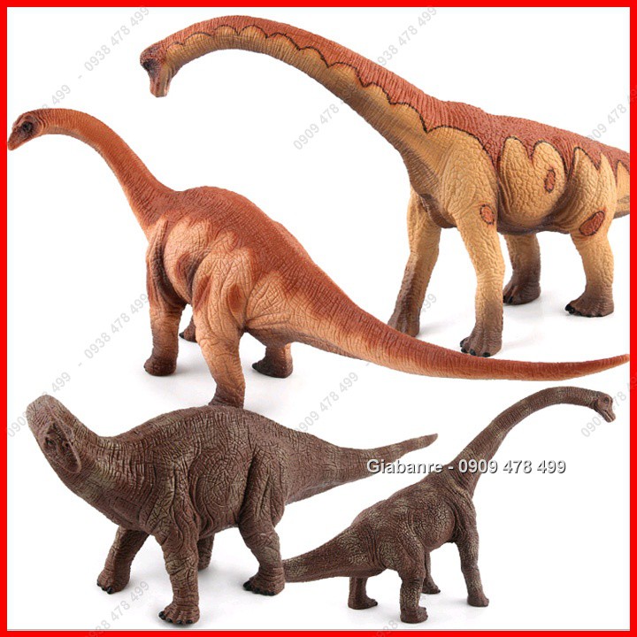 Mô Hình Khủng Long Cổ Dài Brachiosaurus Brontosaurus Apatosaurus - 7747