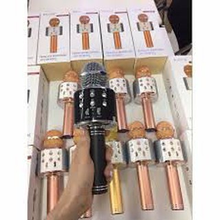 Micro hát Karaoke Kèm Loa WS-858